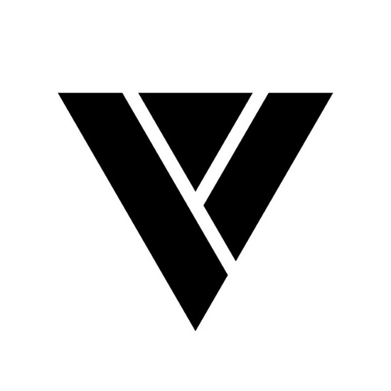 Valnet Concept logo