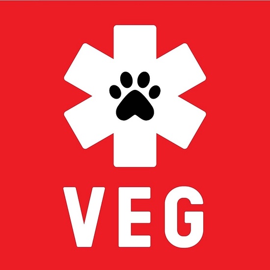 Veterinary Emergency Group (VEG) logo