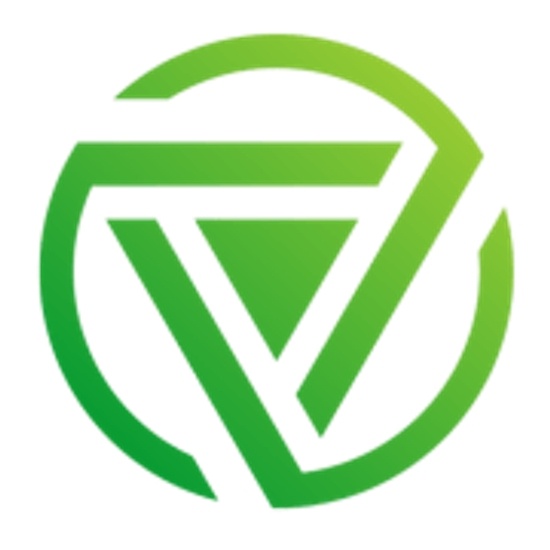 Virtual Technology Group logo