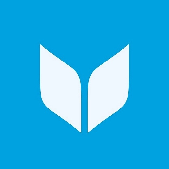 Virtuous logo
