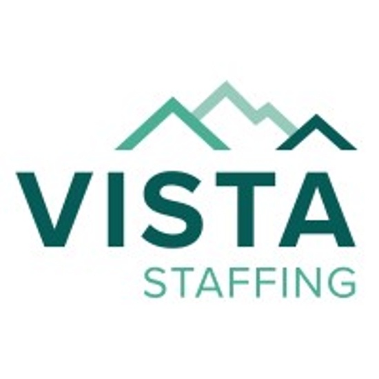 VIS VISTA Staffing Solutions logo