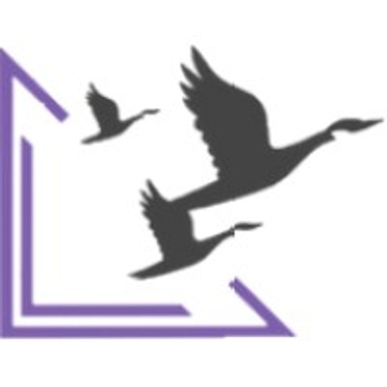 VisionShr logo