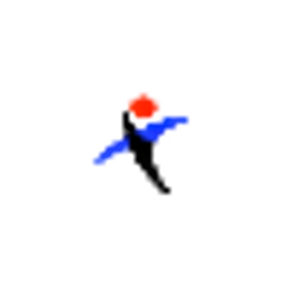 Wellington logo