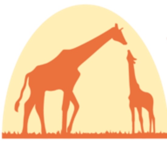 Wellspring Learning Centers logo