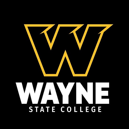 WSC logo