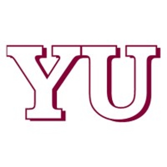Yu & Associates Inc logo